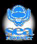 Sea Hornet