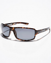 Carve Greed Polarized Tort Carve Greed Polarized Tort