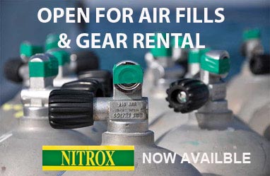 Scuba tank air fills & testing