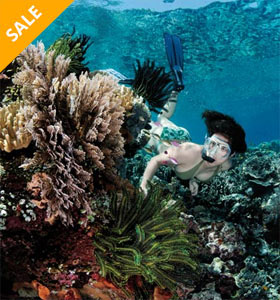 Snorkel and swim sale in store now