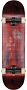 Globe G2 Dot Gain 8.125"