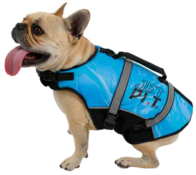 Jetpilot Dog Life Vest Blue