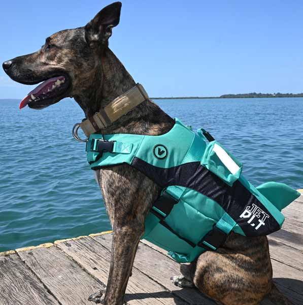 Jetpilot Venture Dog Lifejacket Teal