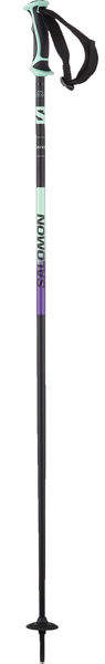 Salomon Shiva Poles 